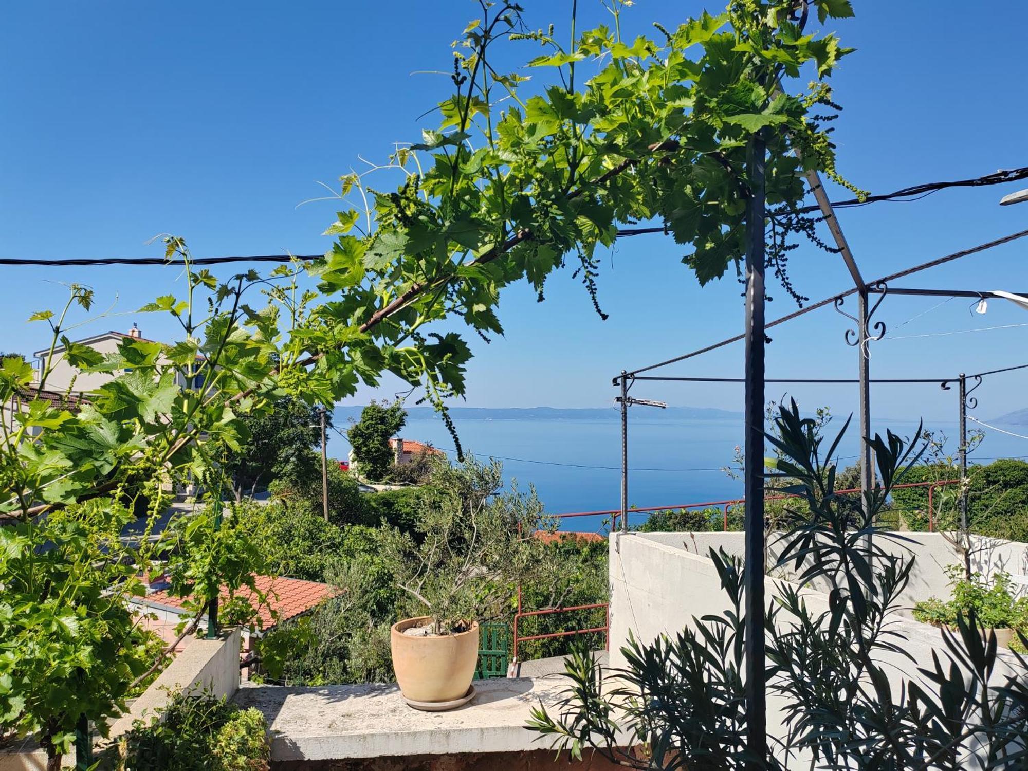 Apartamento Mala Cele Podgora Habitación foto